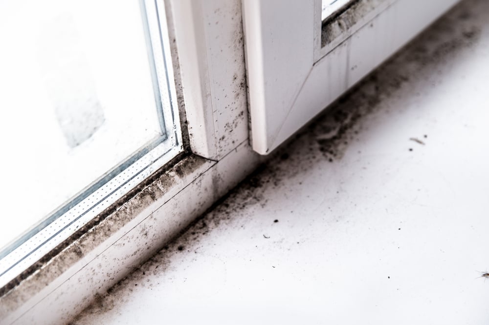 How to Prevent Mold Around Windows with These Silicone Sealants