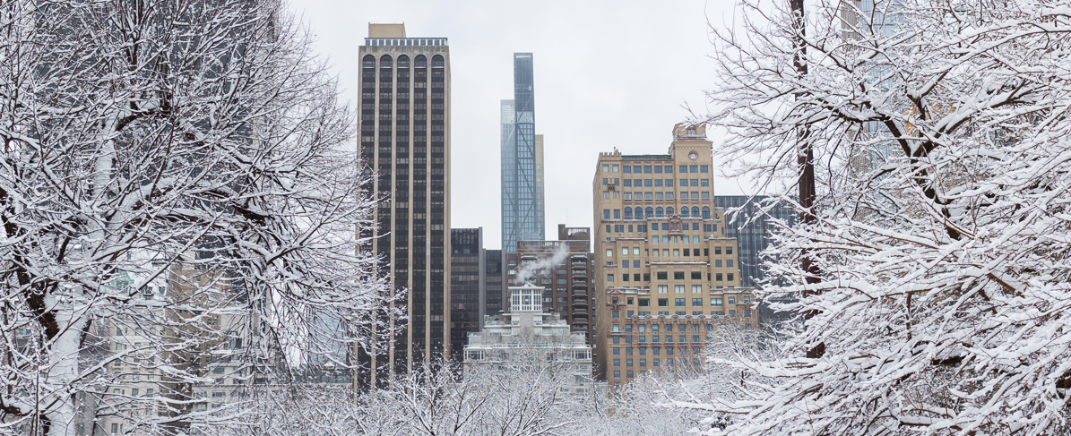 city skyline in winter with trees and snow